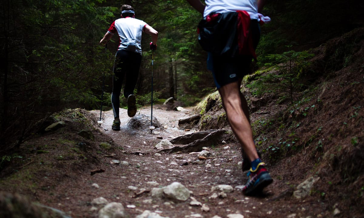 Runners on trail run