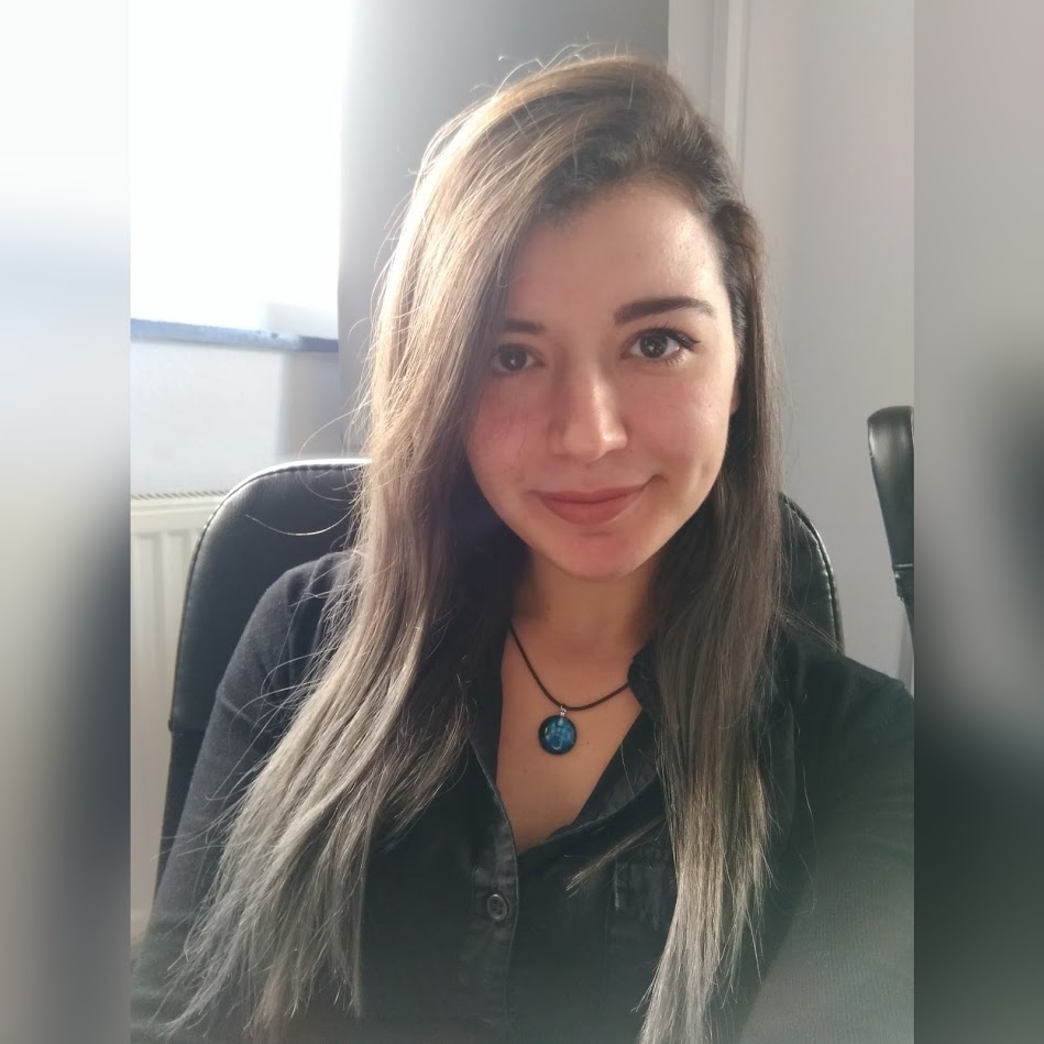 Nebile İşler